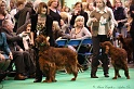 Crufts2011_2 013